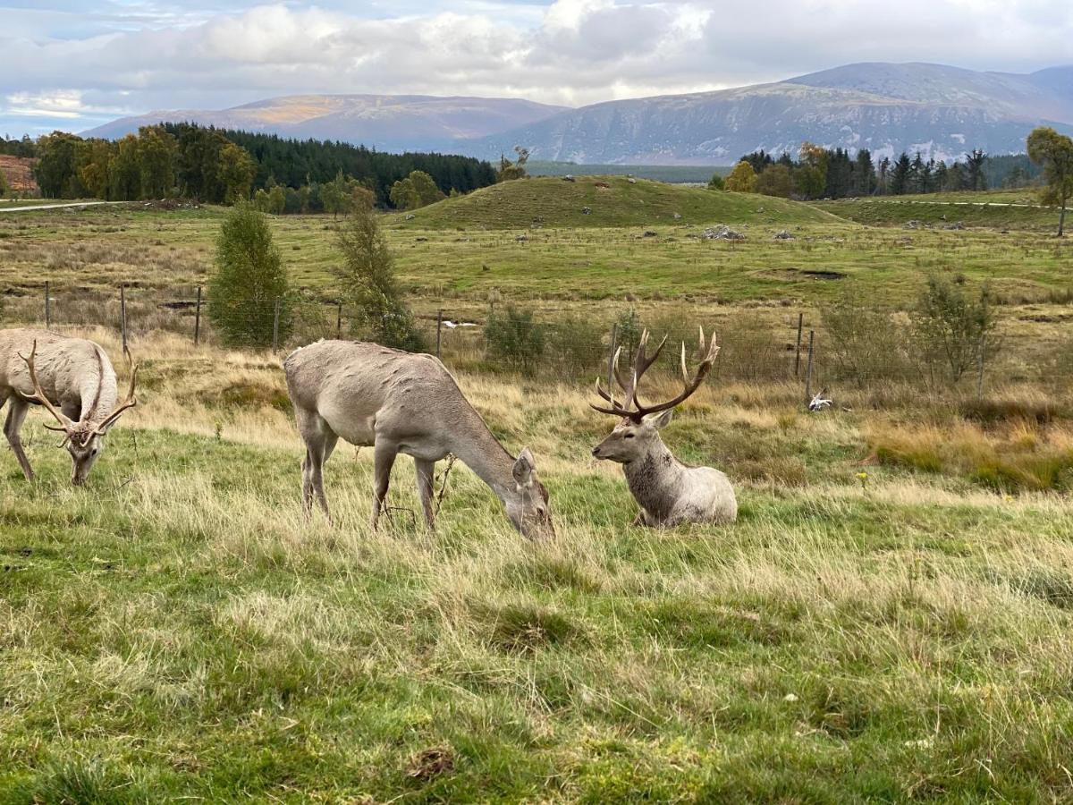 Ardenbeg Hotel Grantown-on-Spey Bagian luar foto